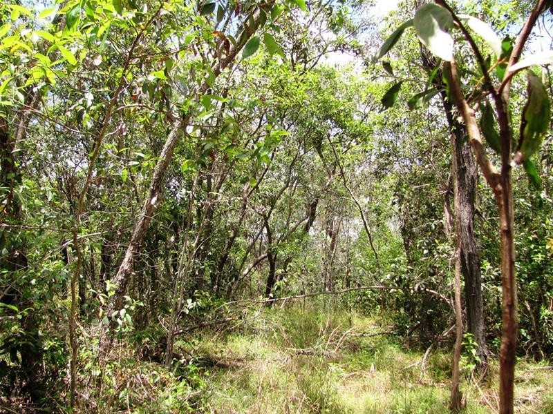 35 Tableland Road, Mount Maria QLD 4674