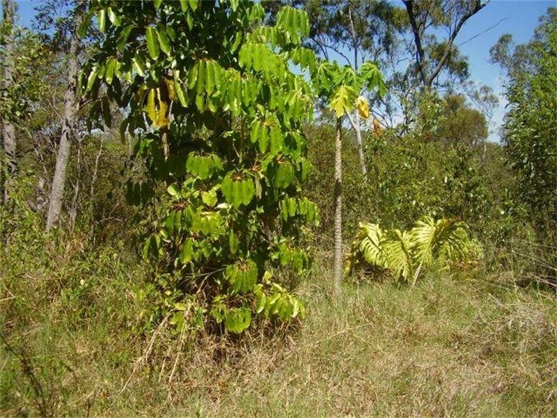 35 Tableland Road, Mount Maria QLD 4674