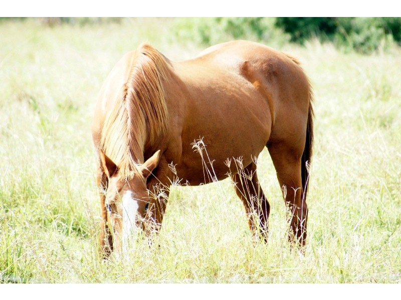 381 Kianawah Road, Wynnum West QLD 4178