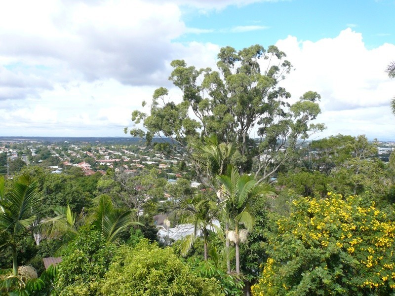 53 Prenzler Street, Upper Mount Gravatt QLD 4122