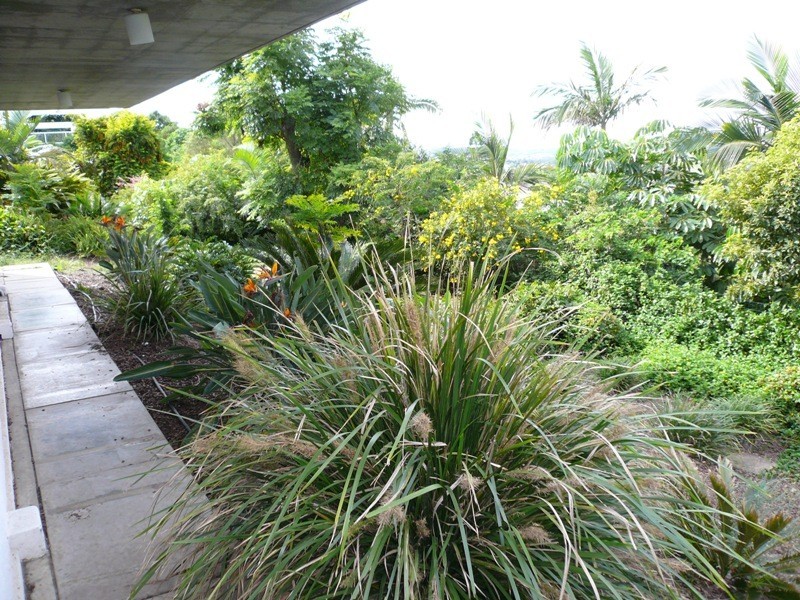 53 Prenzler Street, Upper Mount Gravatt QLD 4122