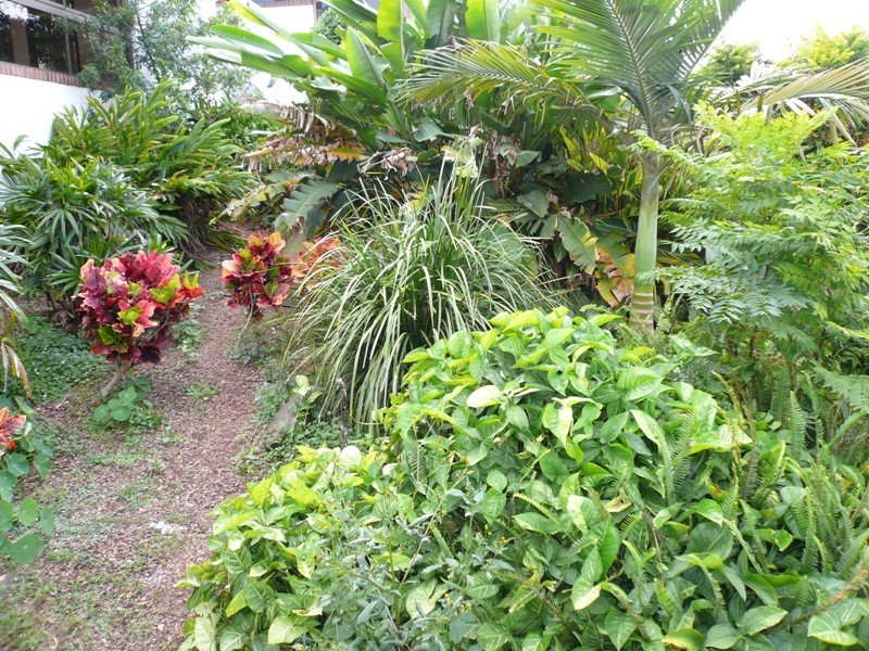 53 Prenzler Street, Upper Mount Gravatt QLD 4122