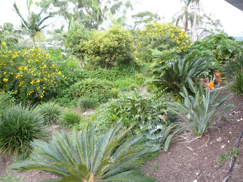 53 Prenzler Street, Upper Mount Gravatt QLD 4122