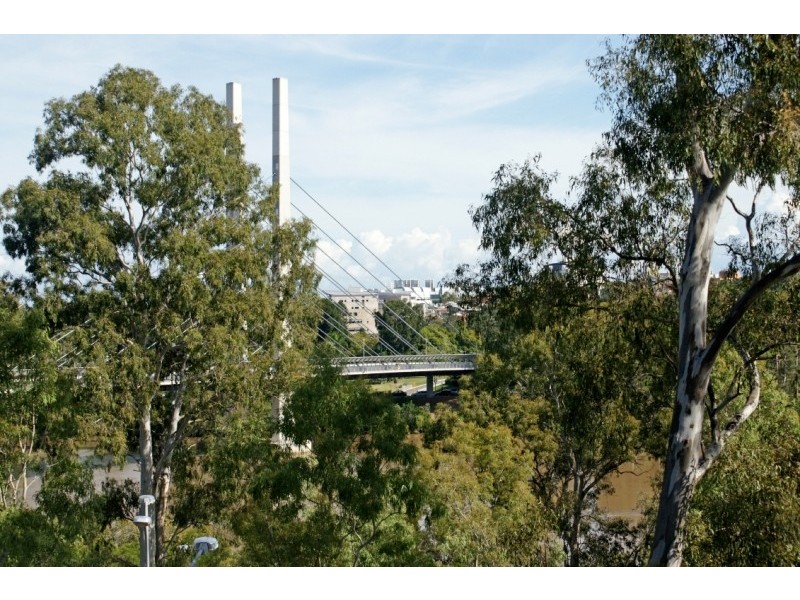 3/3 Indooroopilly Street, Dutton Park QLD 4102