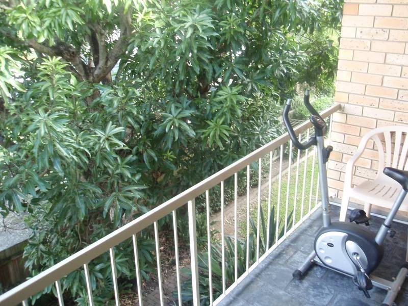 8 Cook St, Yeronga QLD 4104