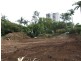 37 Doris Street, West End QLD 4101