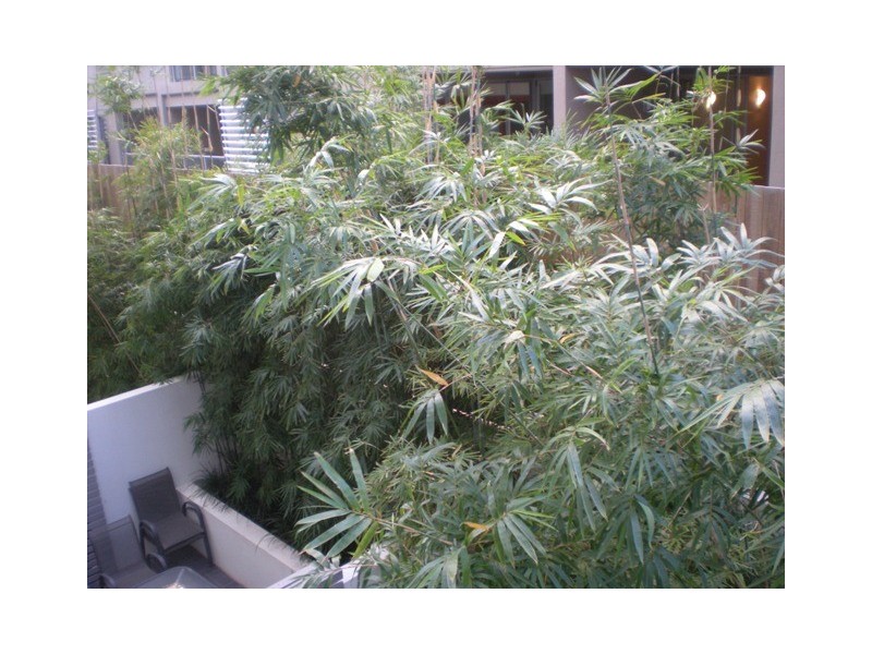 41 Robertson St, Fortitude Valley QLD 4006