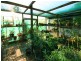 120 Junction Road, Morningside QLD 4170