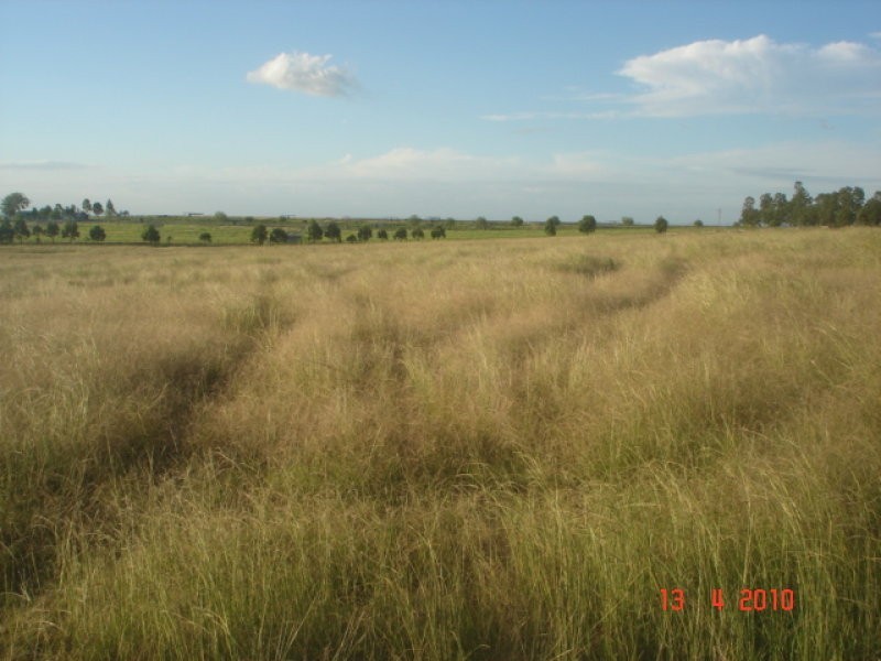 40 Mary Street, Harrisville QLD 4307