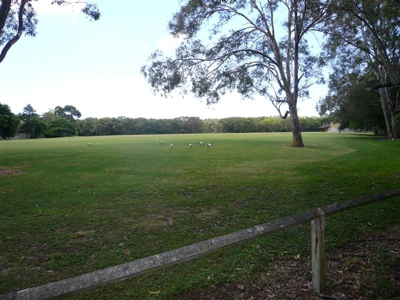 137 Butterfield Street, Herston QLD 4006