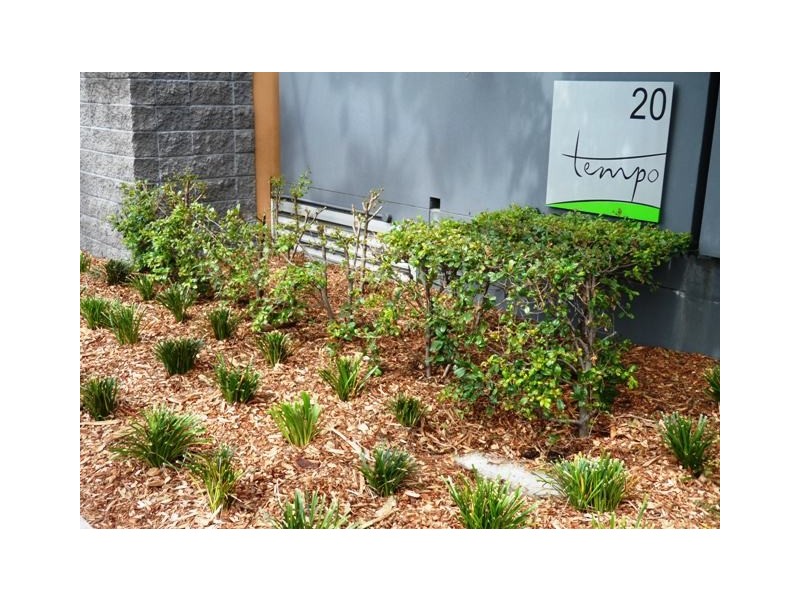 47/20 Donkin ST, West End QLD 4101