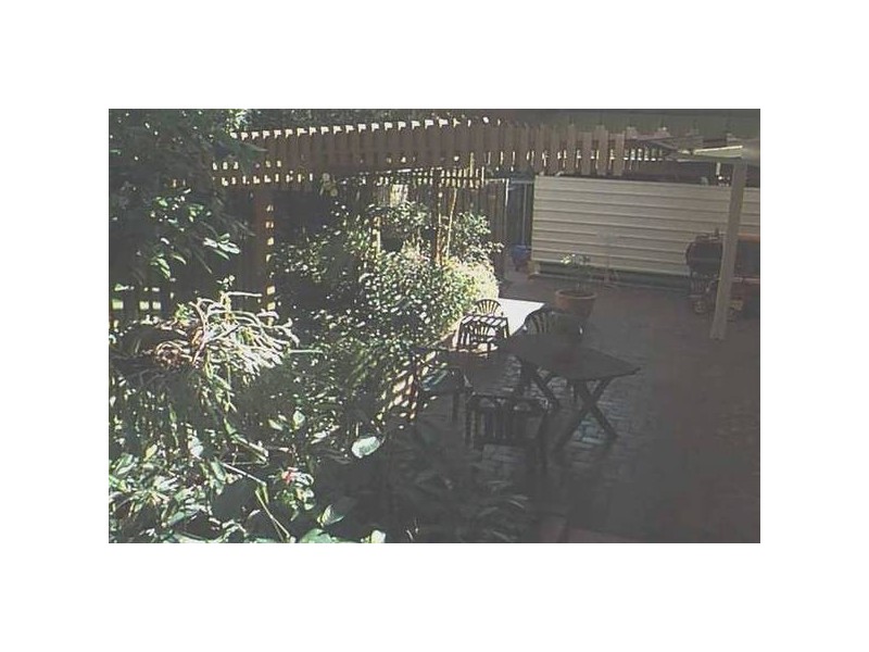 35 Osterley Road, Yeronga QLD 4104