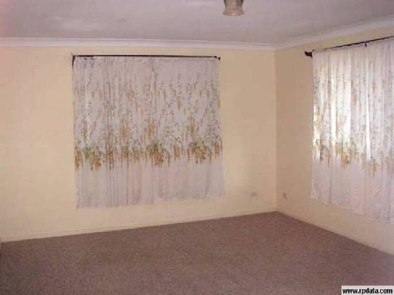 58 Bolan Street, Bulimba QLD 4171