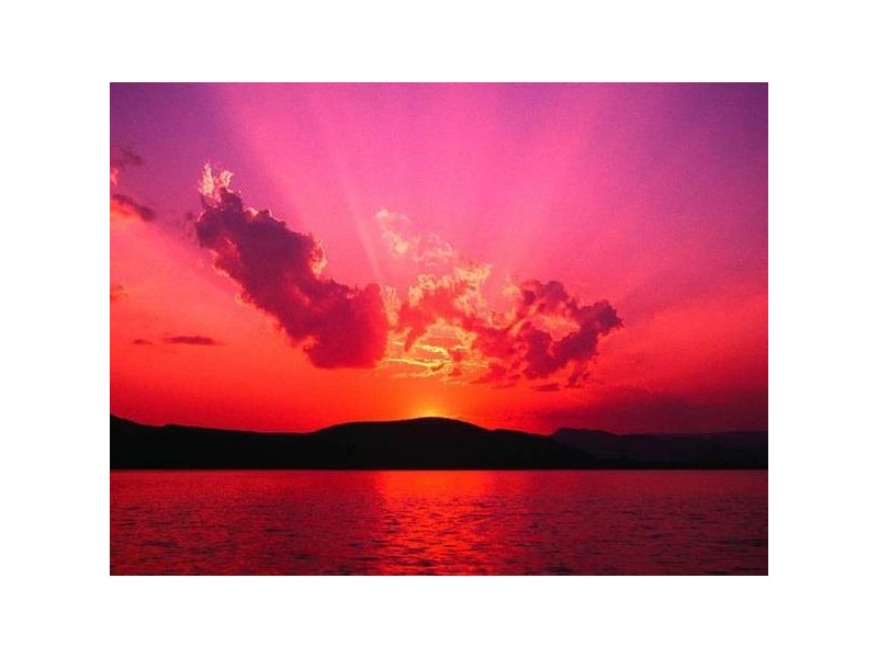 Acacia Ridge QLD 4110