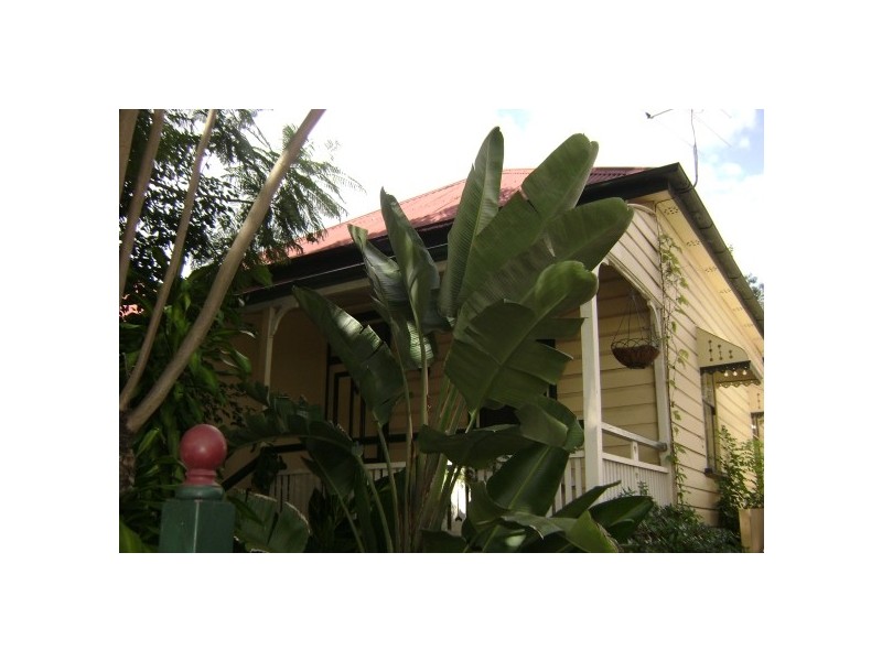 20 Skinner Street, West End QLD 4101