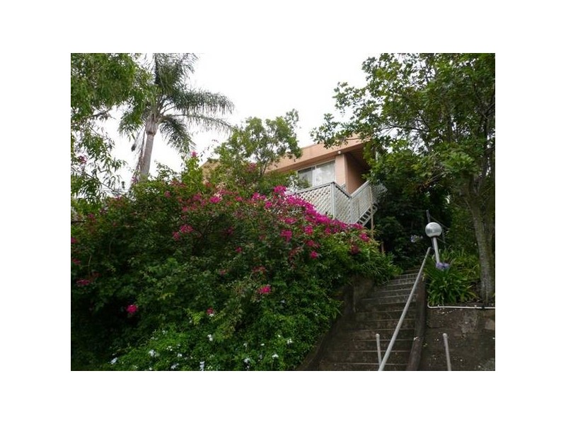 3/102 Henderson Street, Bulimba QLD 4171