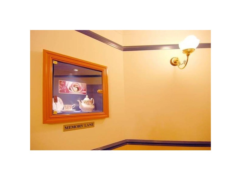 503/167 Albert Street, Brisbane QLD 4000