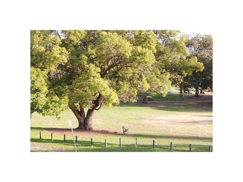 4/42 Cordelia Street, South Brisbane QLD 4101