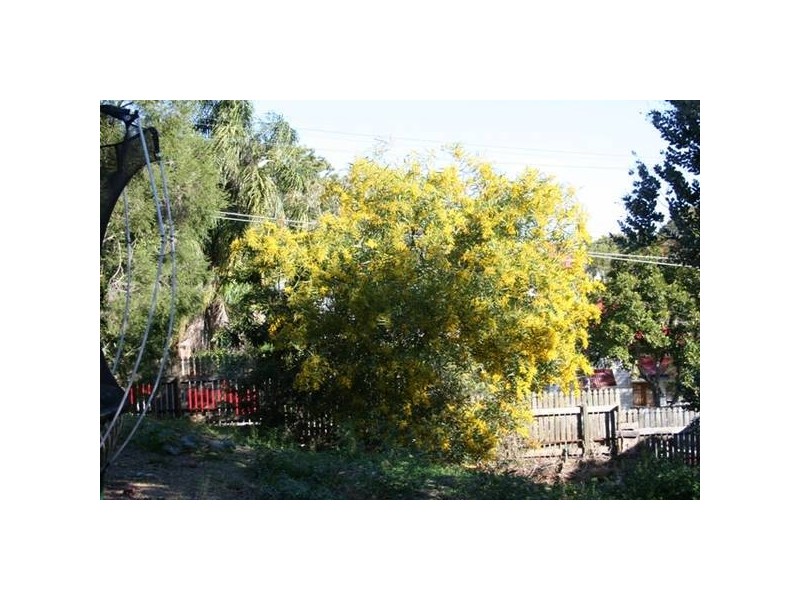 27 Archibald Street, West End QLD 4101