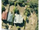 28 Strong Avenue, Graceville QLD 4075
