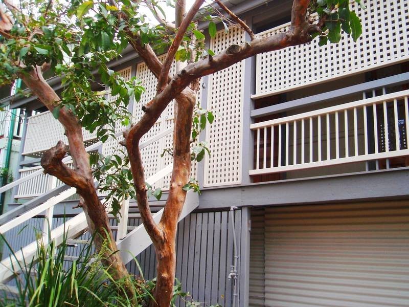 10 Brereton Street, West End QLD 4101