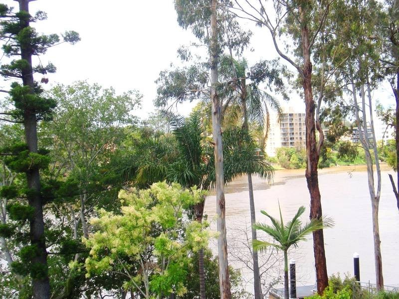 3/149 Ryan Street, West End QLD 4101