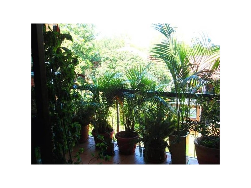 20/12 Colton Street, Highgate Hill QLD 4101