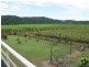 540 Pimlico Road, Pimlico NSW 2478