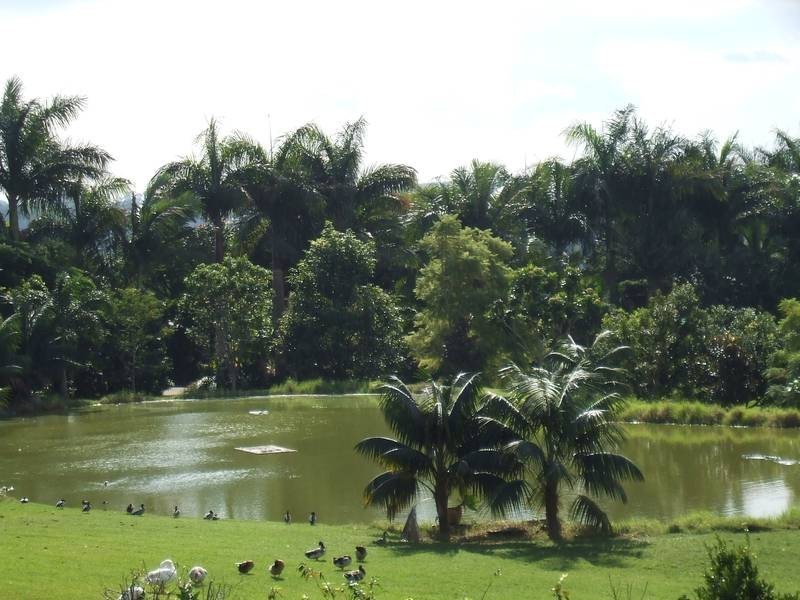 Lot 1 Pacific Highway, Tintenbar NSW 2478