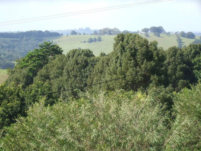 Lot 1 Pacific Highway, Tintenbar NSW 2478