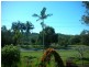 439 Teven Road, Teven NSW 2478