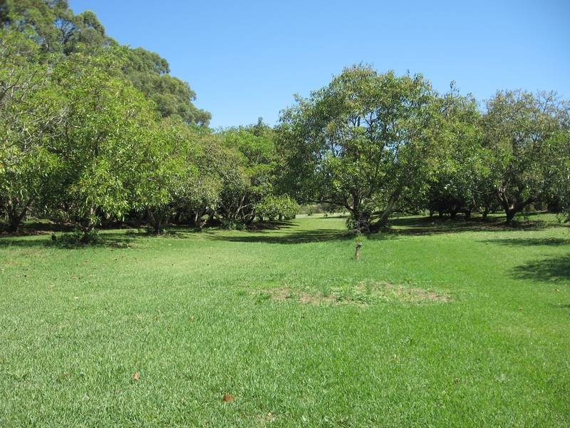 298 Rous Road, Alstonville NSW 2477