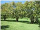 298 Rous Road, Alstonville NSW 2477