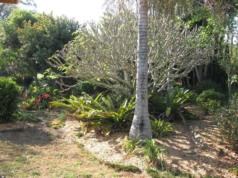 298 Rous Road, Alstonville NSW 2477