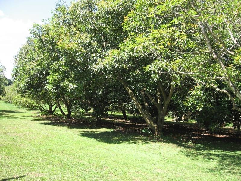 298 Rous Road, Alstonville NSW 2477