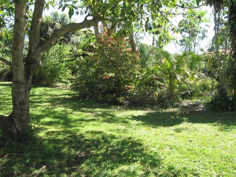 298 Rous Road, Alstonville NSW 2477