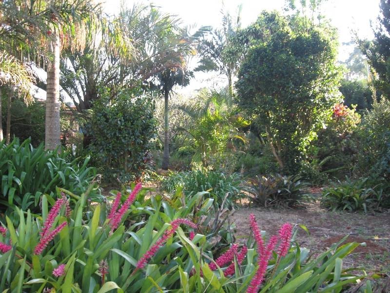 298 Rous Road, Alstonville NSW 2477