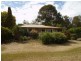 305 Riverbank Road, Pimlico NSW 2478