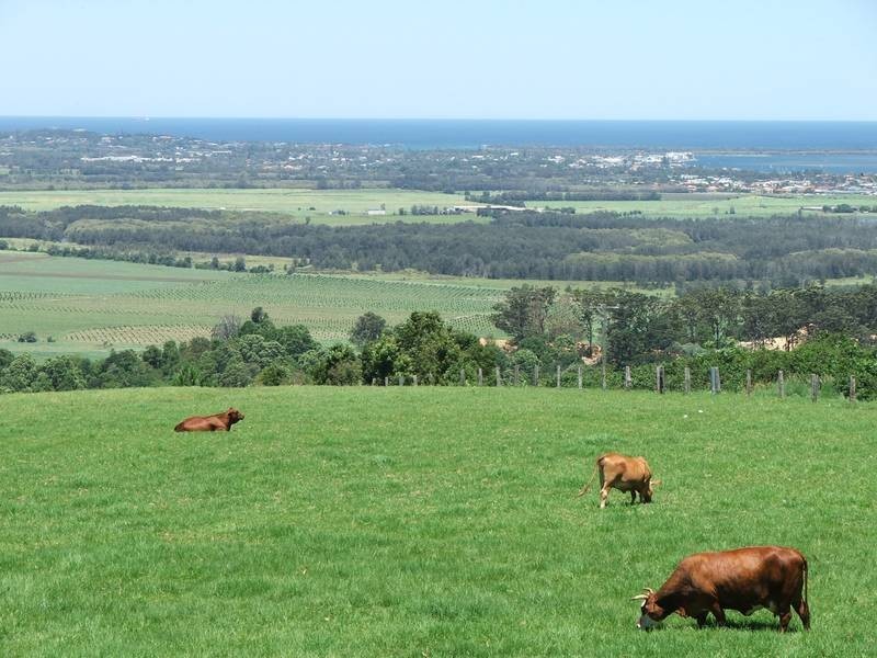 Lot 3, 171 Leadbeaters Lane, Alstonville NSW 2477