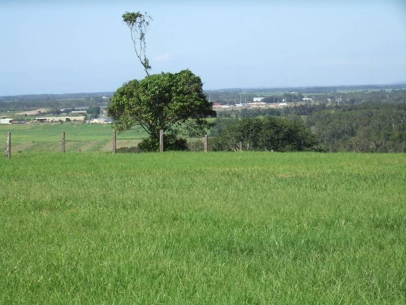 4 Perry Place, Cumbalum NSW 2478