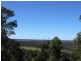 54 Buckombil Mountain Road, Meerschaum Vale NSW 2477
