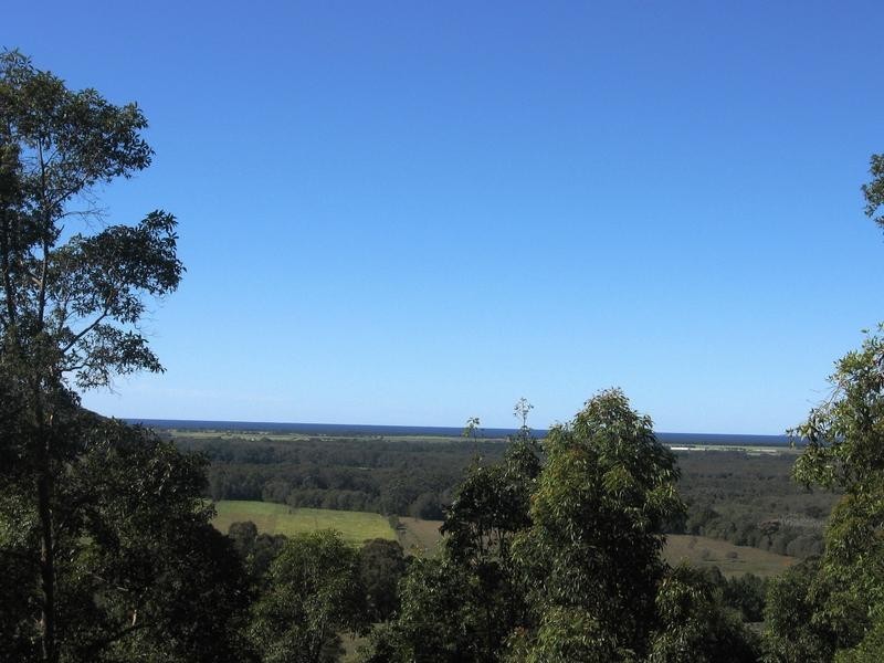 54 Buckombil Mountain Road, Meerschaum Vale NSW 2477