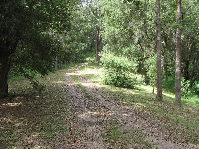 54 Buckombil Mountain Road, Meerschaum Vale NSW 2477