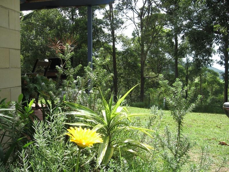 54 Buckombil Mountain Road, Meerschaum Vale NSW 2477