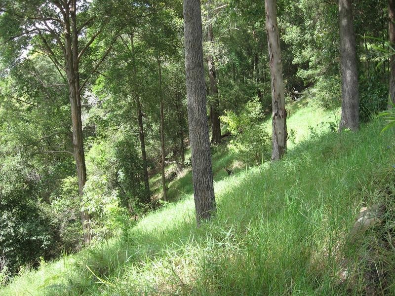 54 Buckombil Mountain Road, Meerschaum Vale NSW 2477