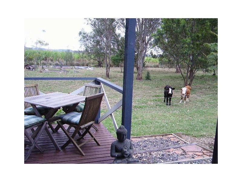 2/305 Riverbank Road, Pimlico NSW 2478