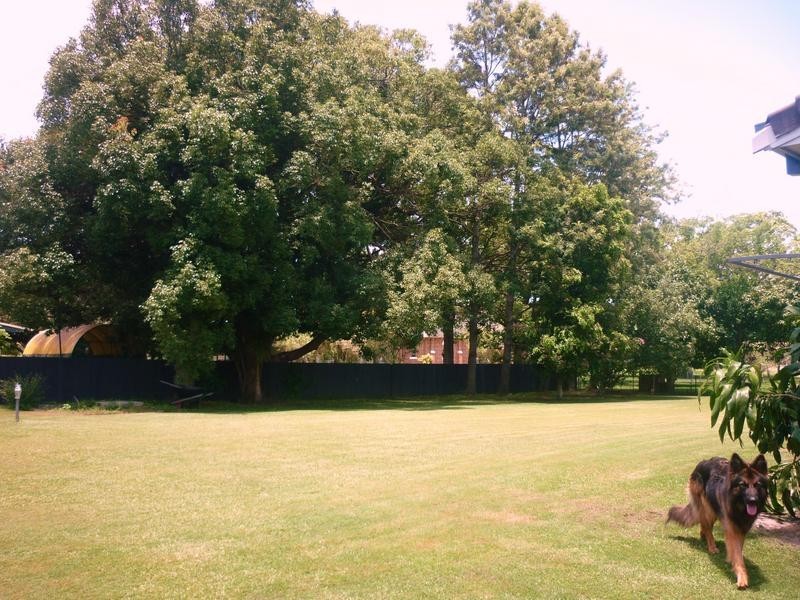 17 Fitzroy Street, Wardell NSW 2477