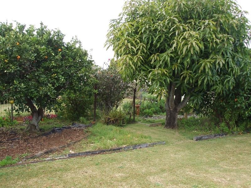 11 Merinda Place, East Ballina NSW 2478