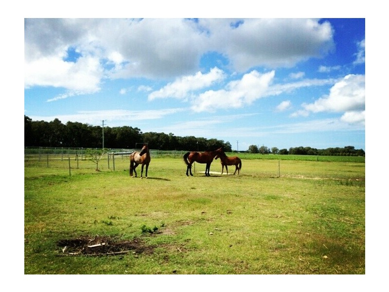 148 Hermans Lane, Pimlico NSW 2478