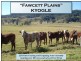310 Fawcett Plain Road, Kyogle NSW 2474